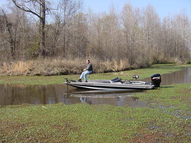 Bassboatcentral shop